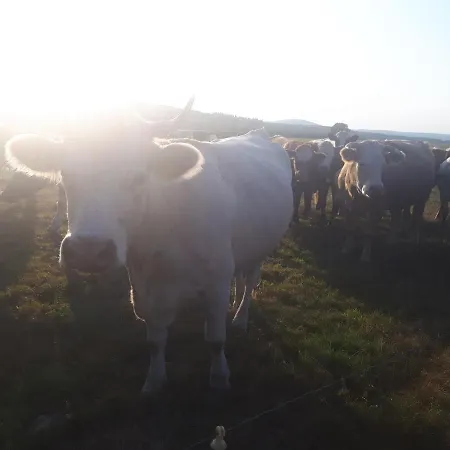 Apartman Bauerngarten