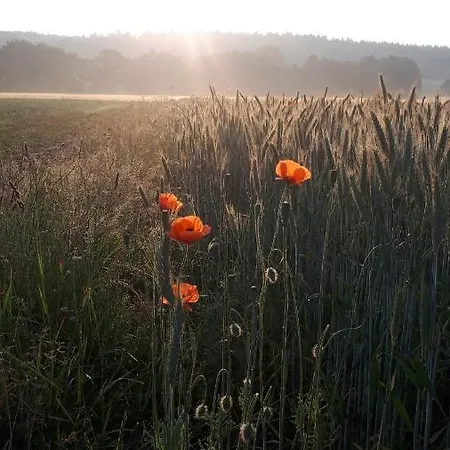 Apartman Bauerngarten