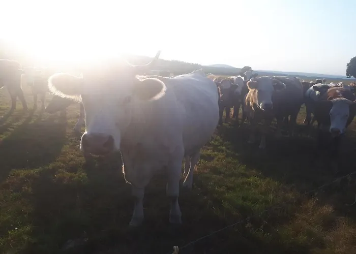 Διαμέρισμα Bauerngarten