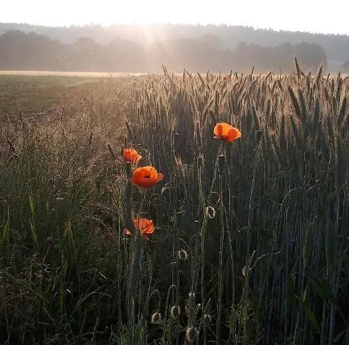 Διαμέρισμα Bauerngarten